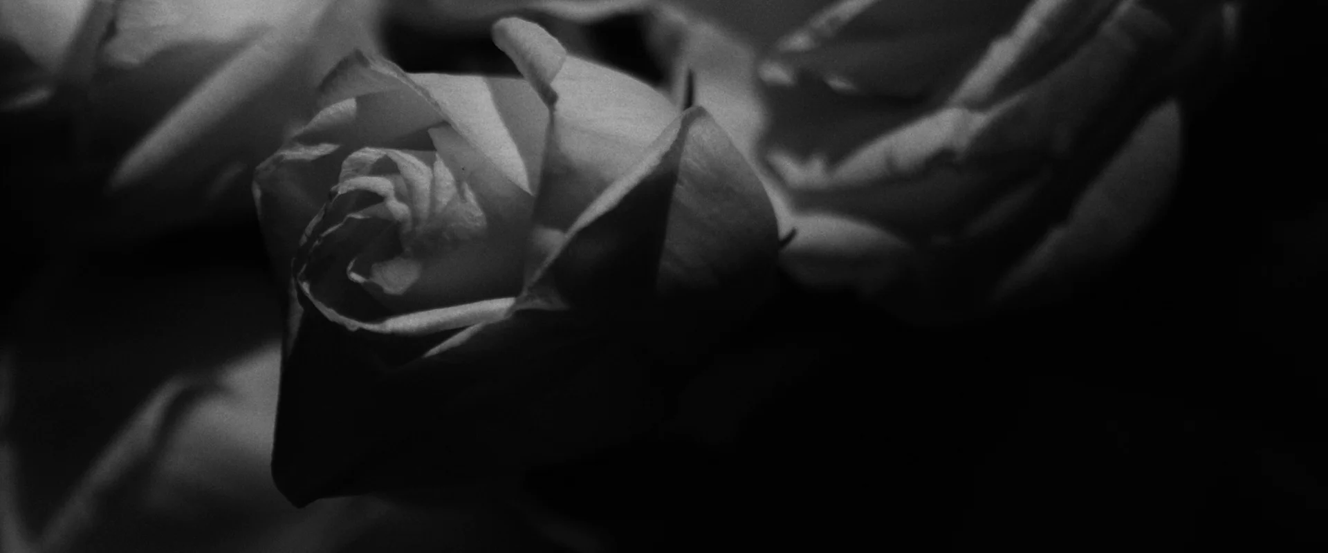 HSC17_PROMO_2 MIN VERSION_0db 6.jpeg