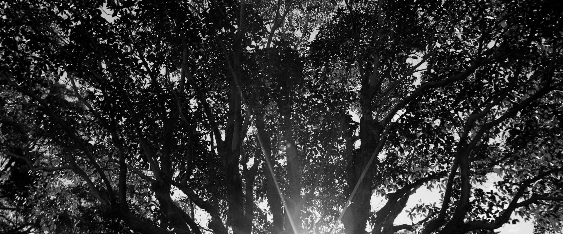 HSC17_PROMO_2 MIN VERSION_0db 10.jpeg