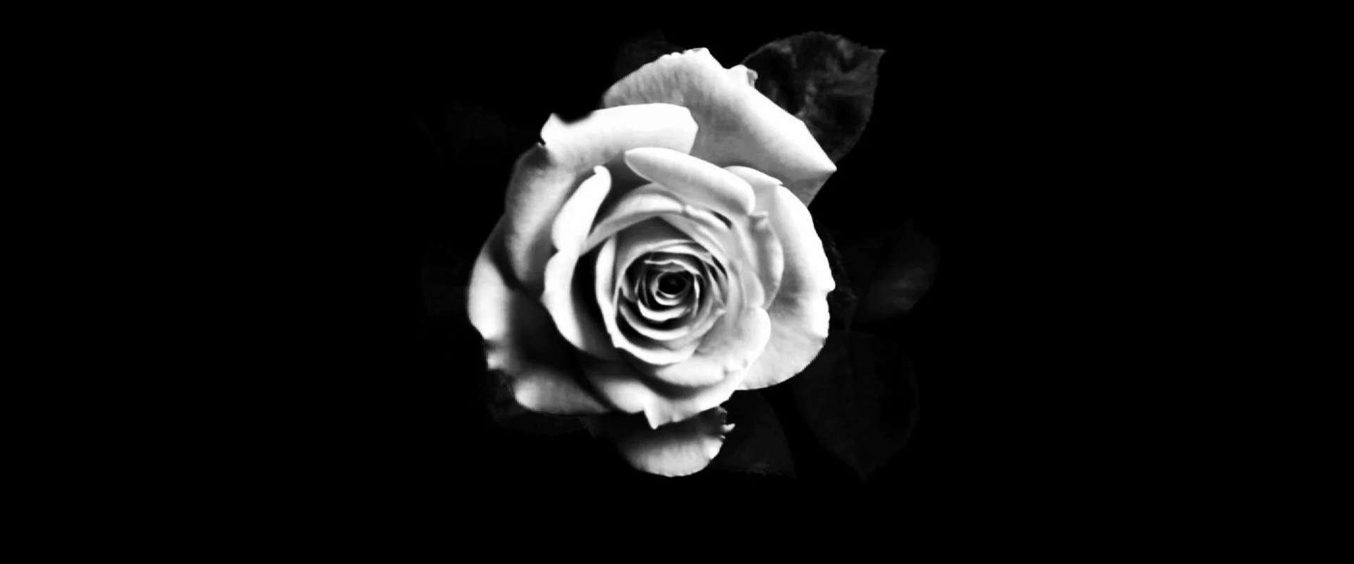 HSC17_PROMO_2 MIN VERSION_0db 12.jpeg