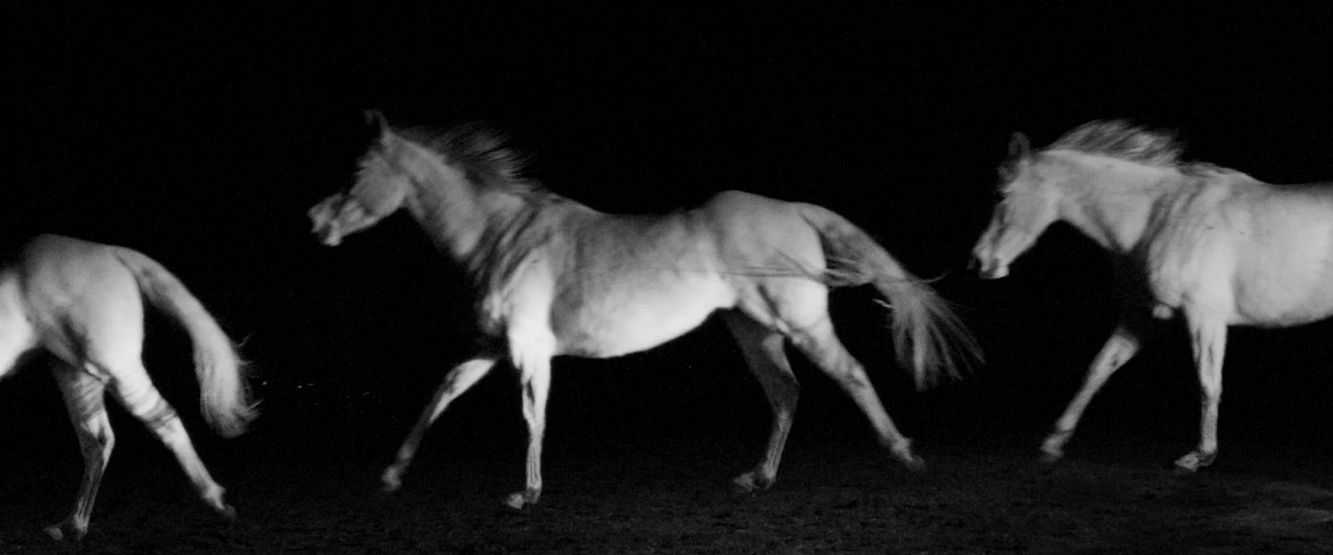 HSC17_PROMO_2 MIN VERSION_0db 20.jpeg