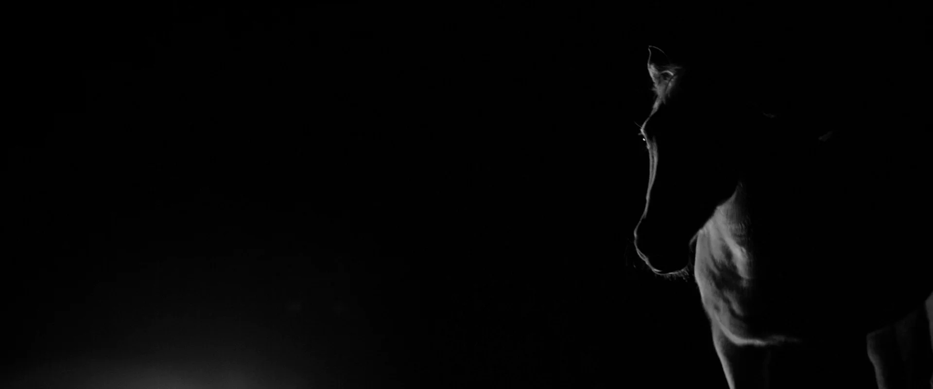 HSC17_PROMO_2 MIN VERSION_0db 25.jpeg