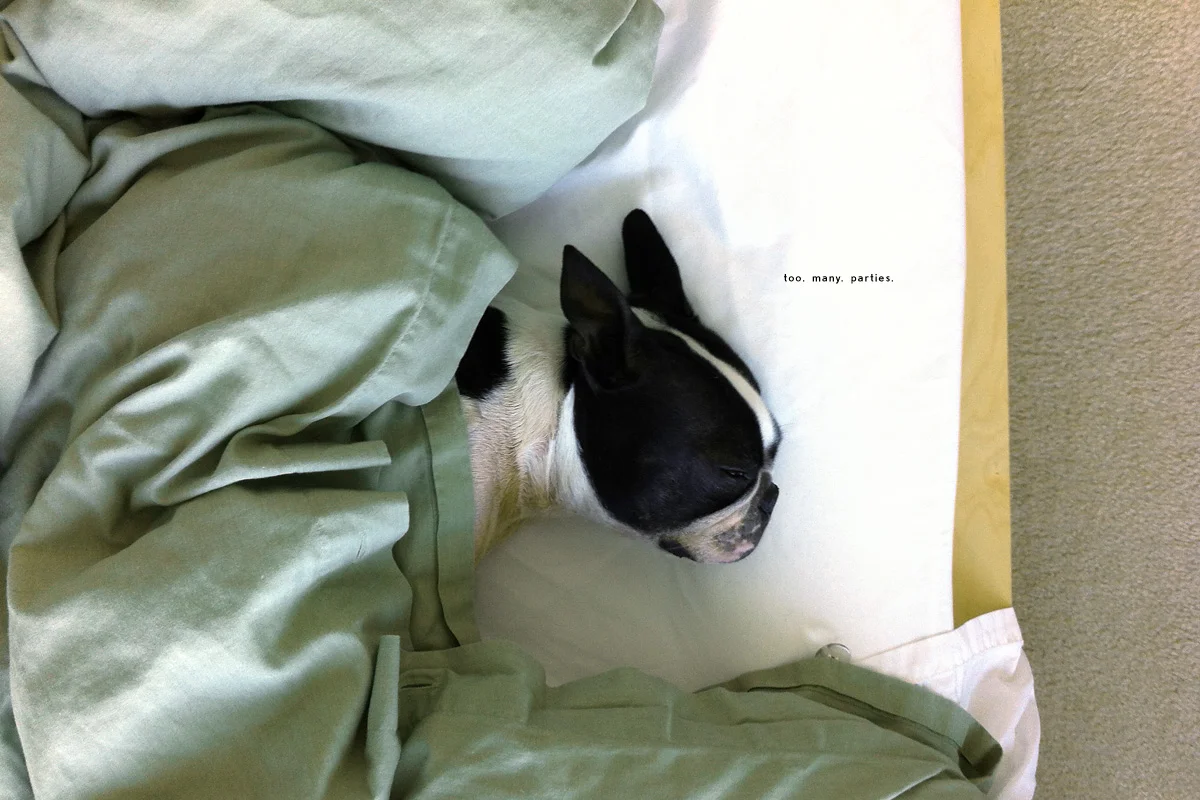 19_Atticus_Sleep.jpg