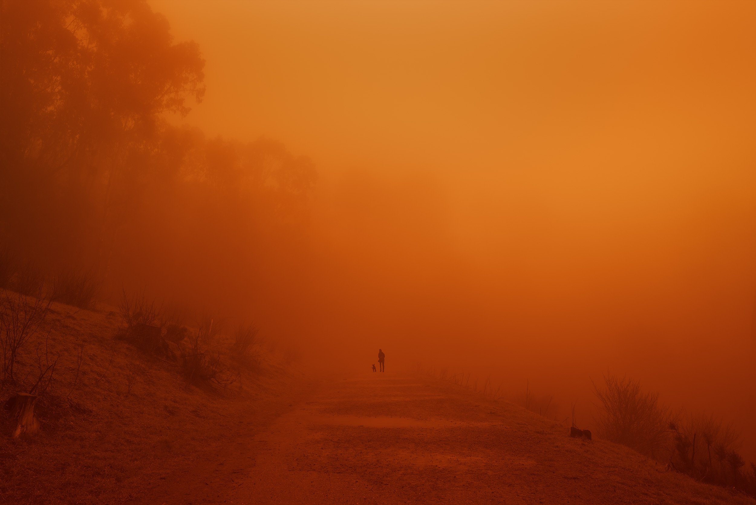 Walking the Dog