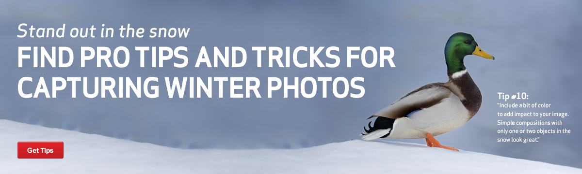 winte photo tips.jpg