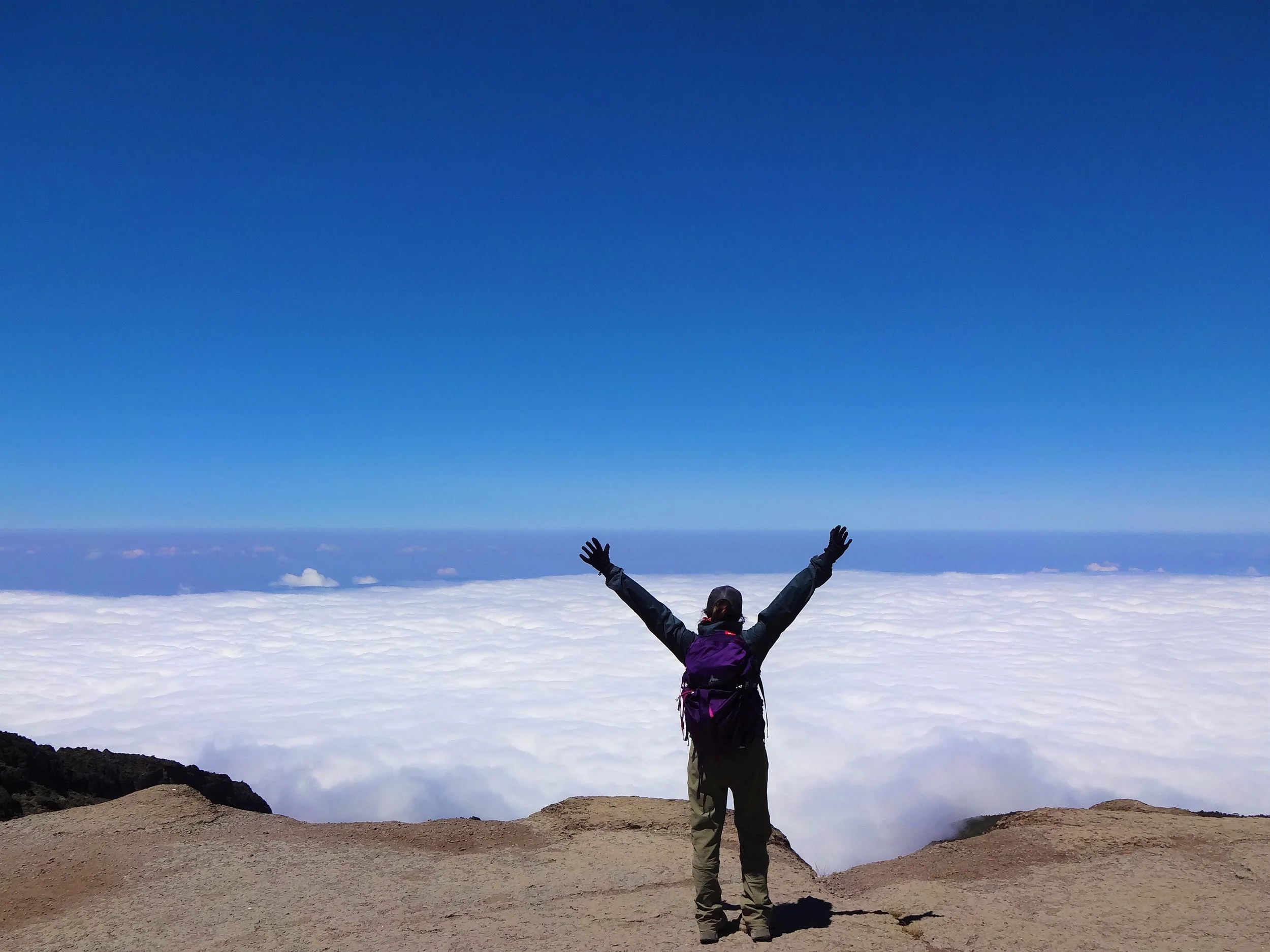 Selfie Does Trainer Talk with Jami: NY Resolution Mistakes