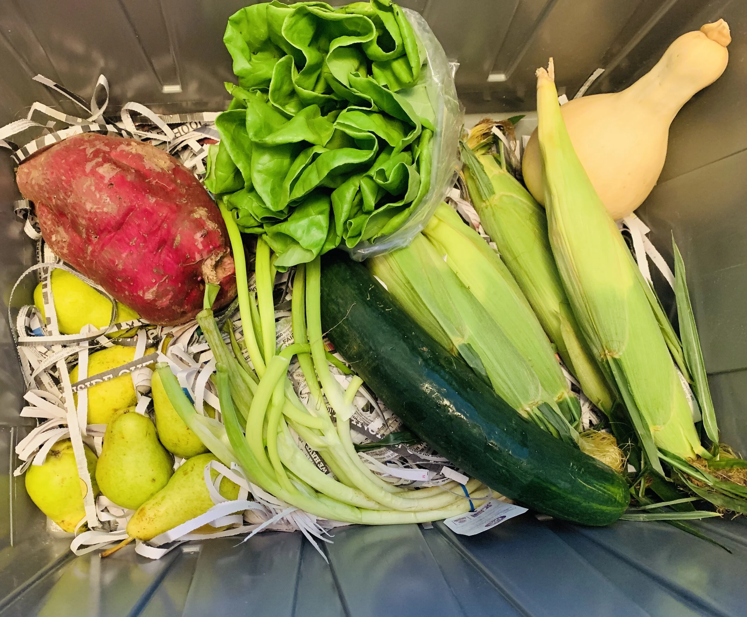 Farmhouse Delivery Review #TIBIQ