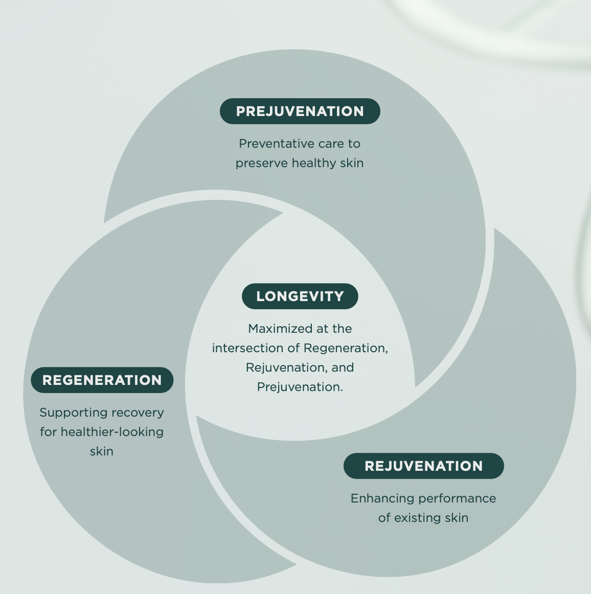 Screenshot 2026-02-02 at 2.27.23 PM.png