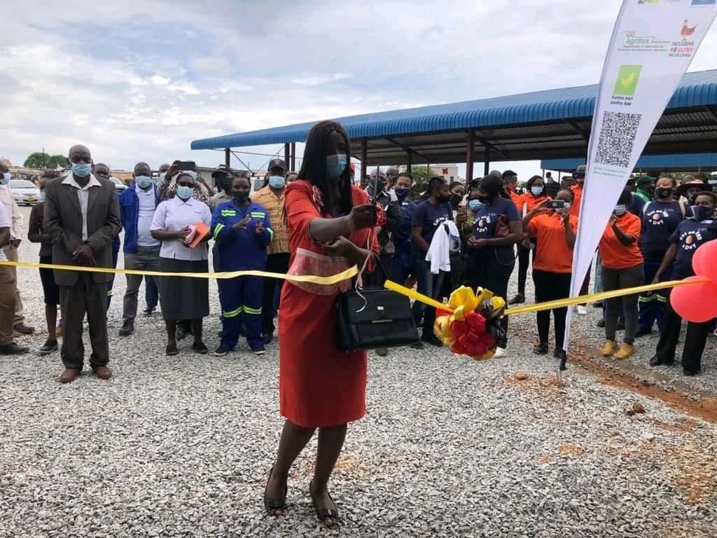 IPVC Domboshava Live Bird and Egg Market Launch