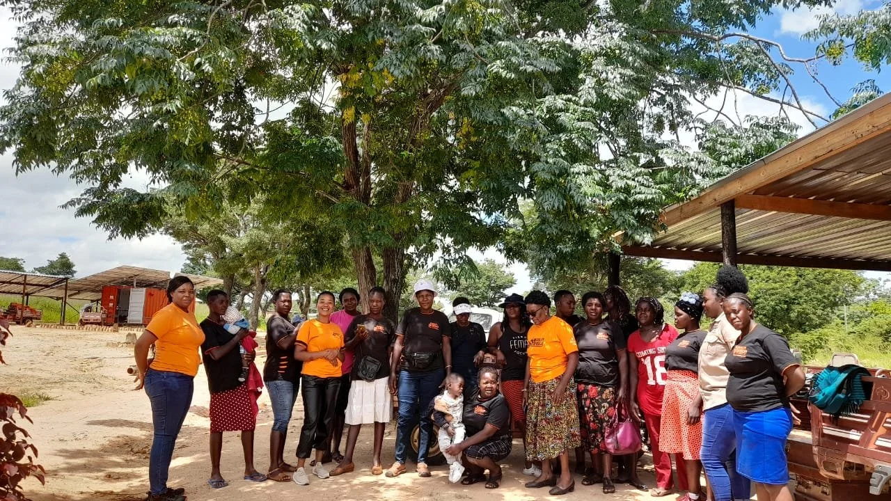 Focus Group Discussions, Wedza