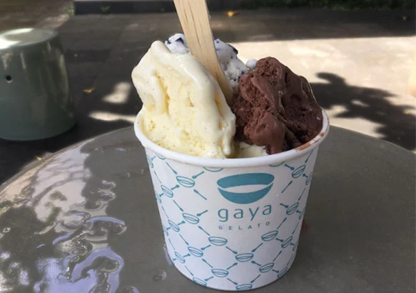 coppetta-gaya.jpg