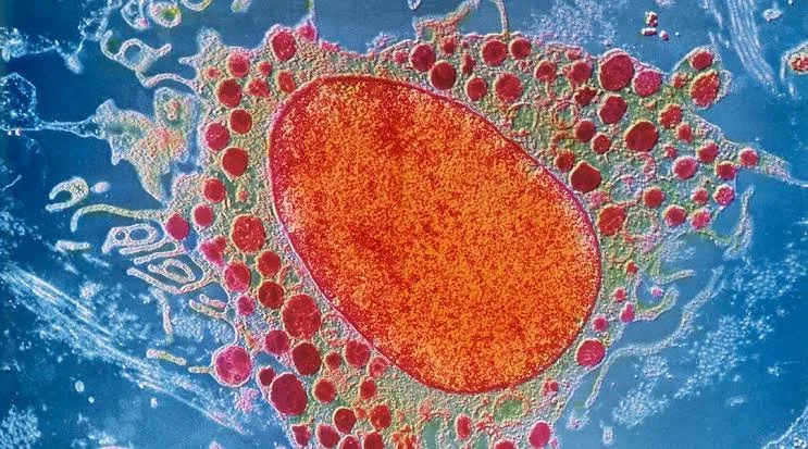 Sarin Lab Publications — SARIN LAB