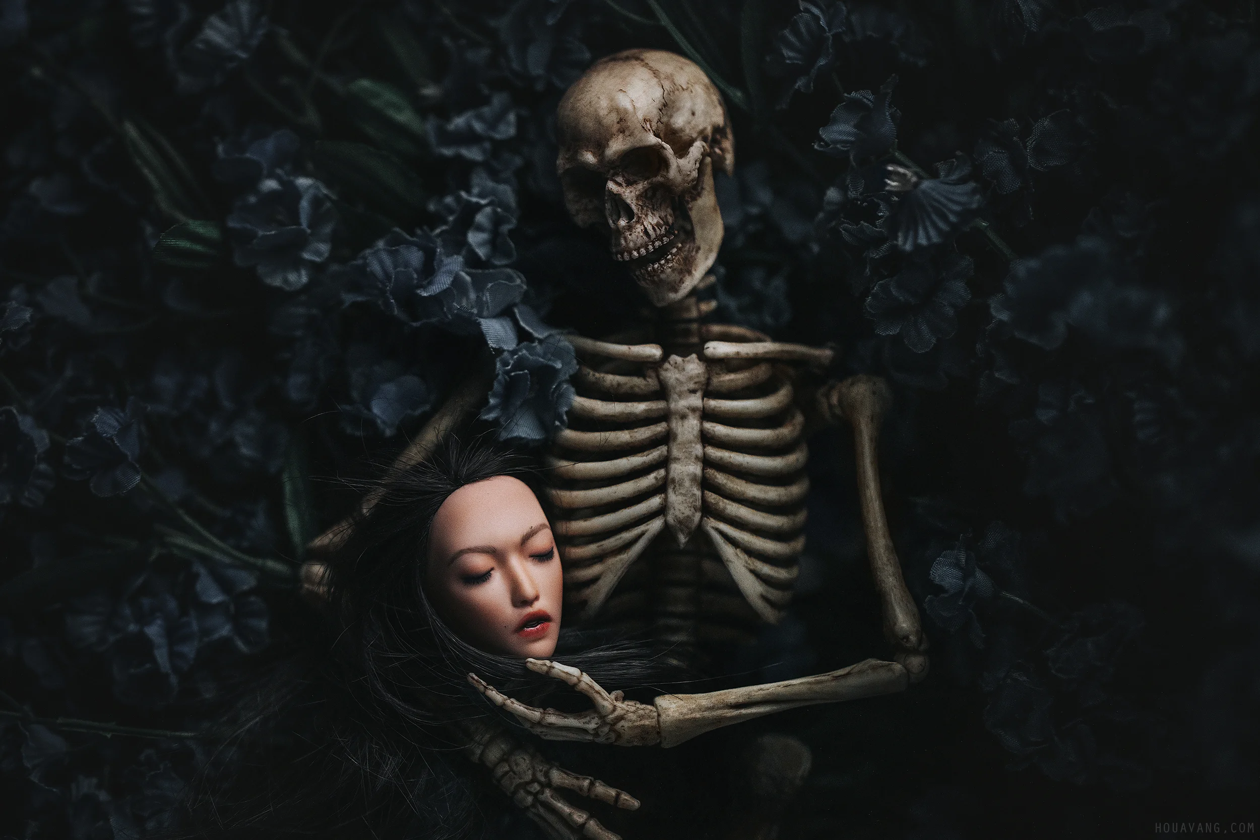 Lost Soul: The beginning