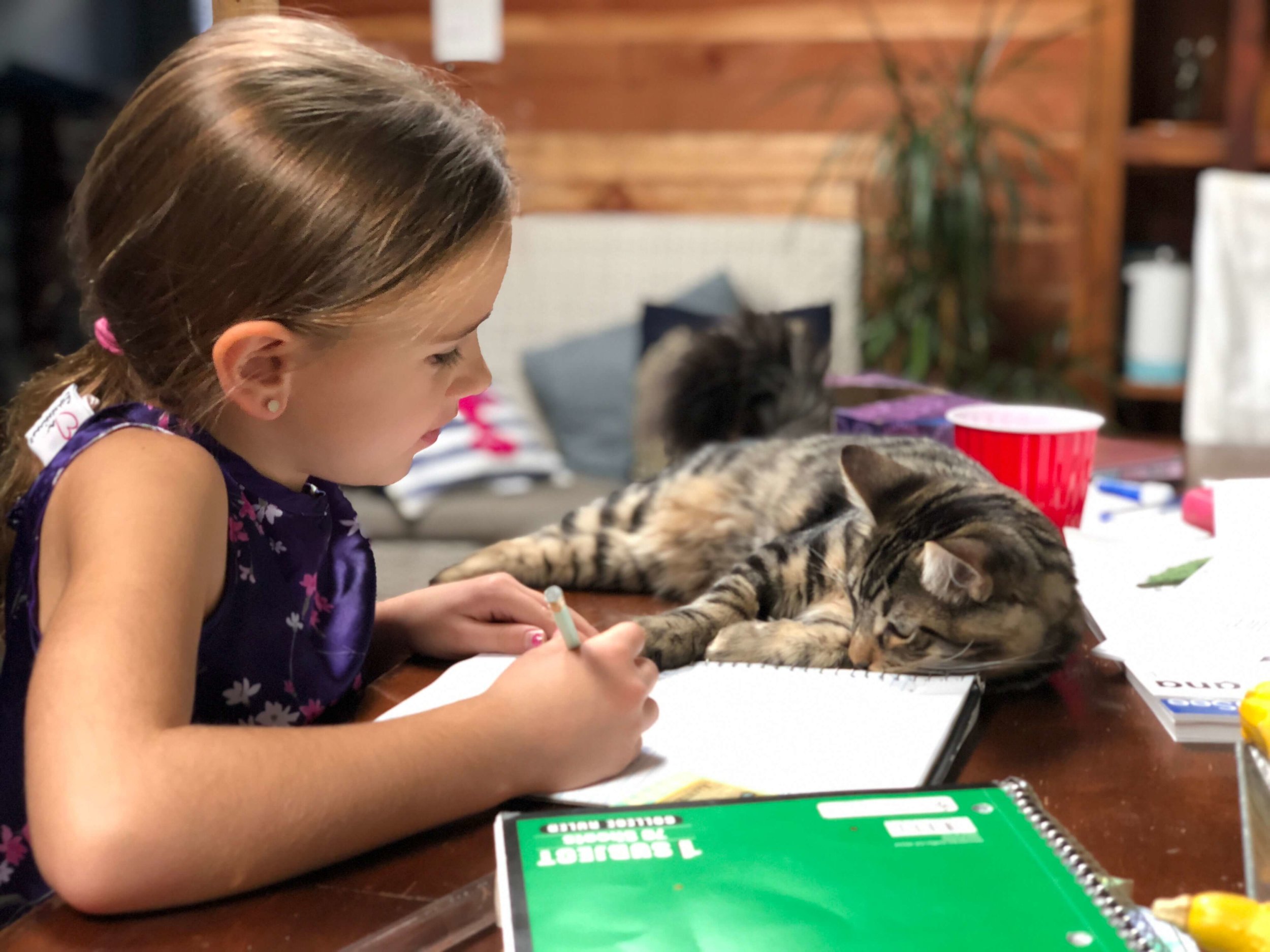Our Best Homeschool Curriculum - How We're Planning for 2019/2020