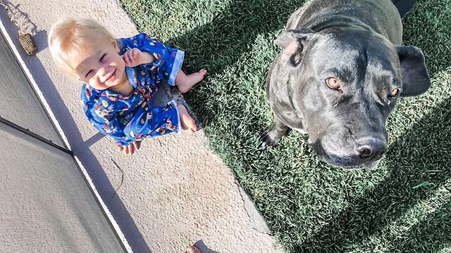 This little boy LOVES his pups. 🖤 Every morning he runs to the door to let them in and snuggles them on their bed!! If Art every starts to get a little crabby or sad his pups are the key to cheering him right up!! 🖤 Sweet boy and his Gretchen enjoy