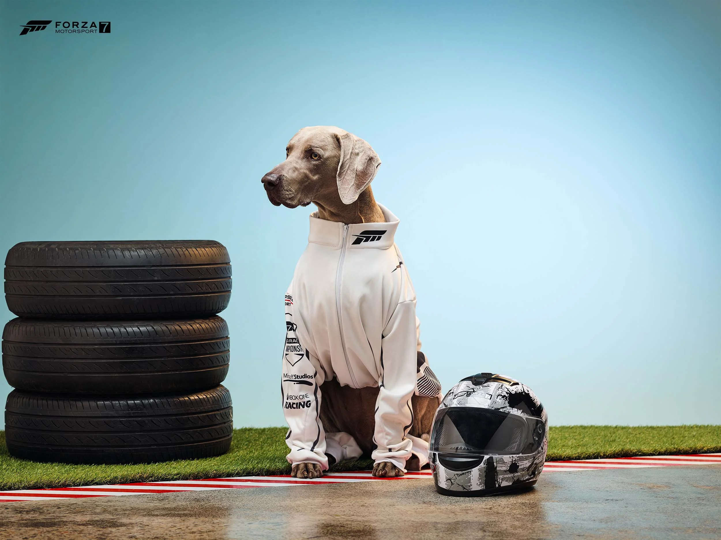 XboxCosPups-Forza.jpg