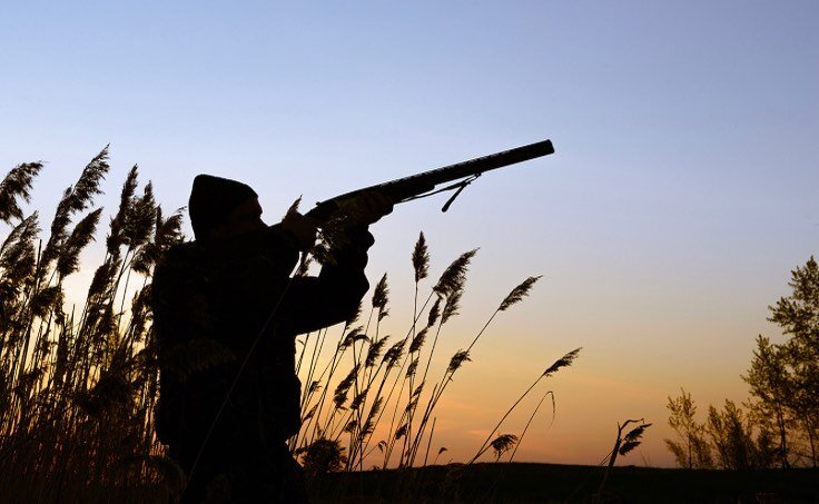 In many communities hunting is considered the most ethical and sustainable way of eating. But many capitalize on the killing of animals in the name of conservation. Is anyone right? 

Link in story, or find it on pasturenotes.com