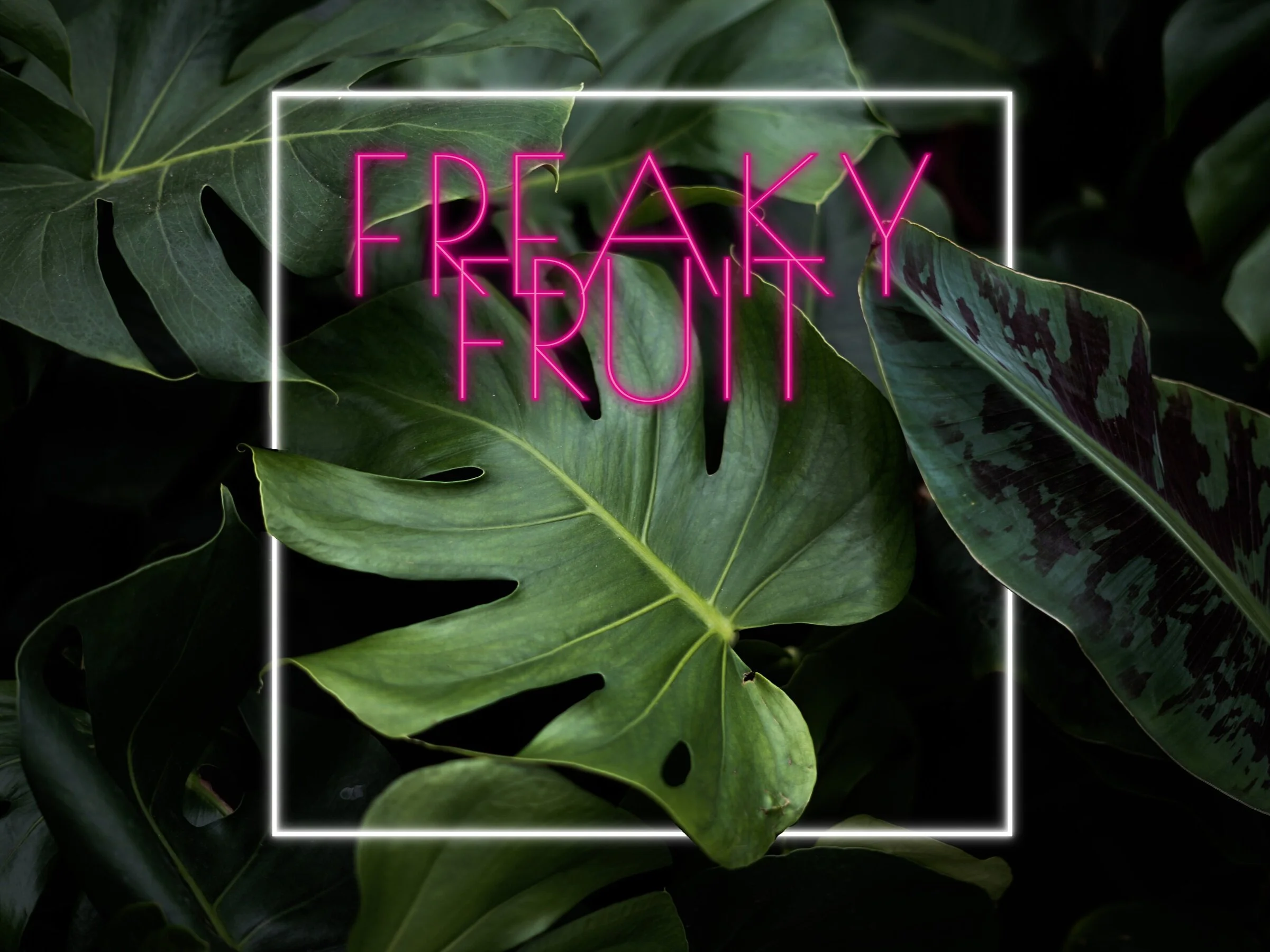 Freaky+Fruit.jpg
