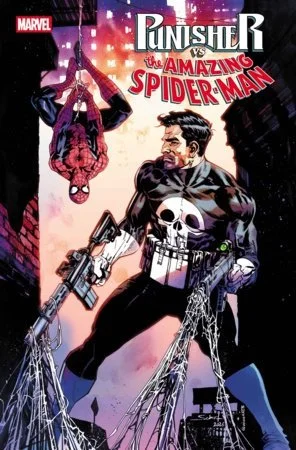 May 26 punisher vs spider-man.jpg