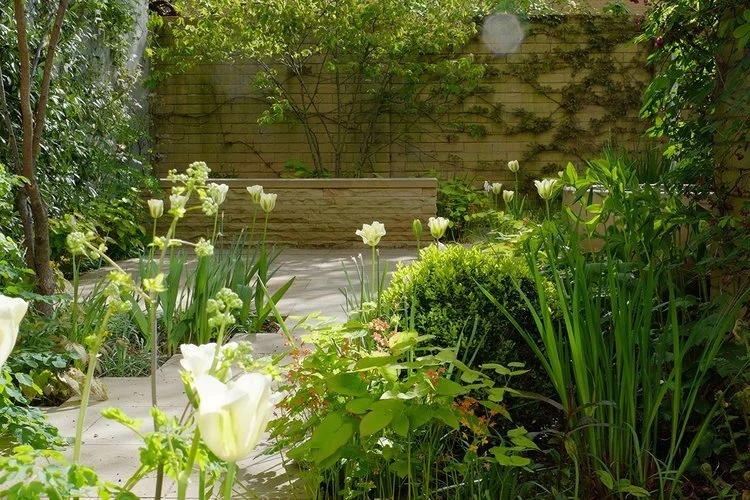 Designing Sustainable Gardens - Catriona Caldwell