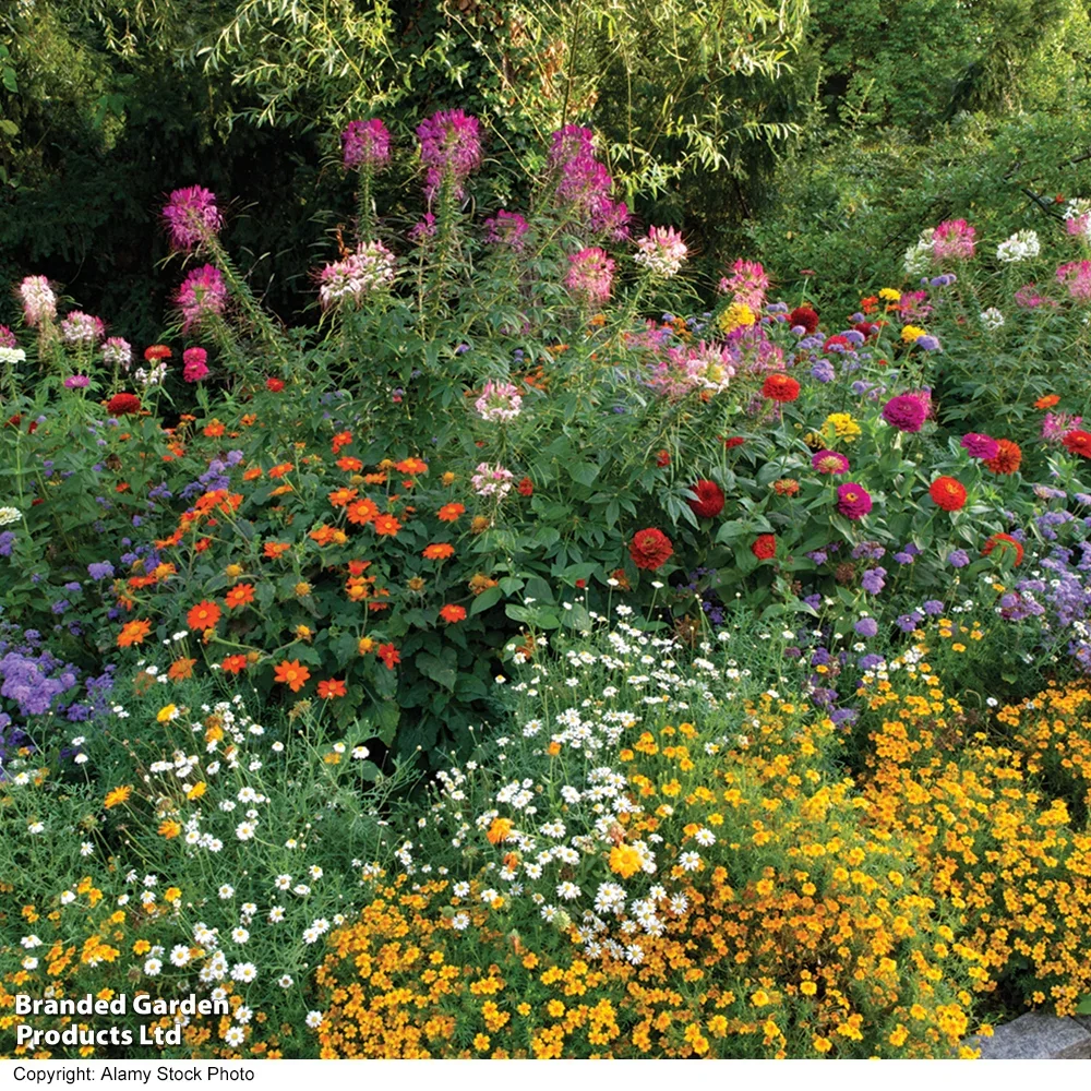 Naturally Native: Gardening with British Natives at Home