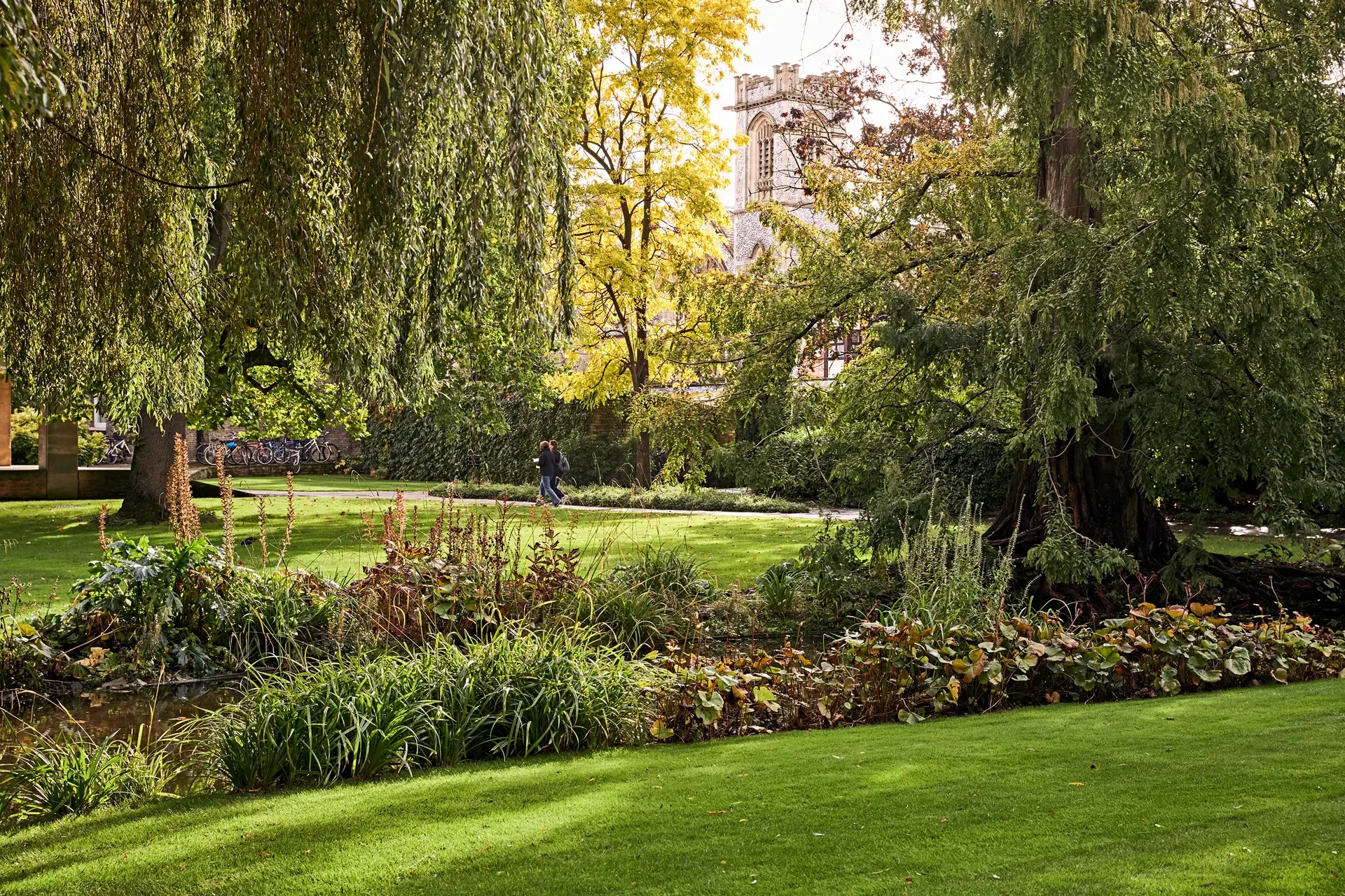 Emmanuel College Gardens