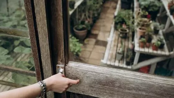 Making the most of your Greenhouse or Conservatory