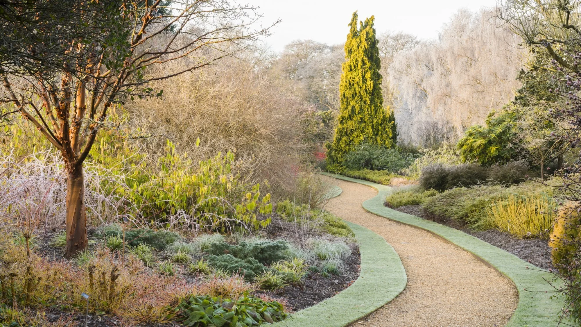 Create a Garden for all Seasons - talk on zoom, held at the Church Hall