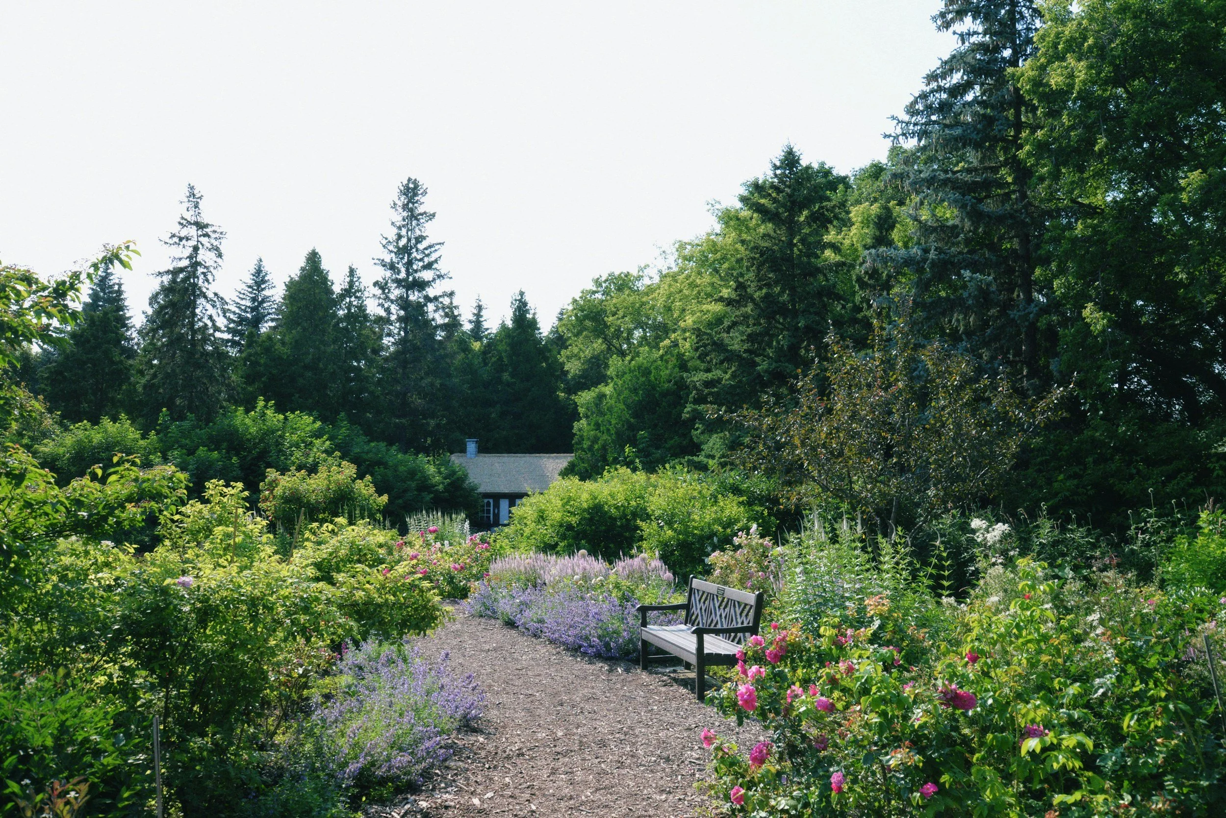 Cambridge Horticultural Society and the Old Botanic Garden