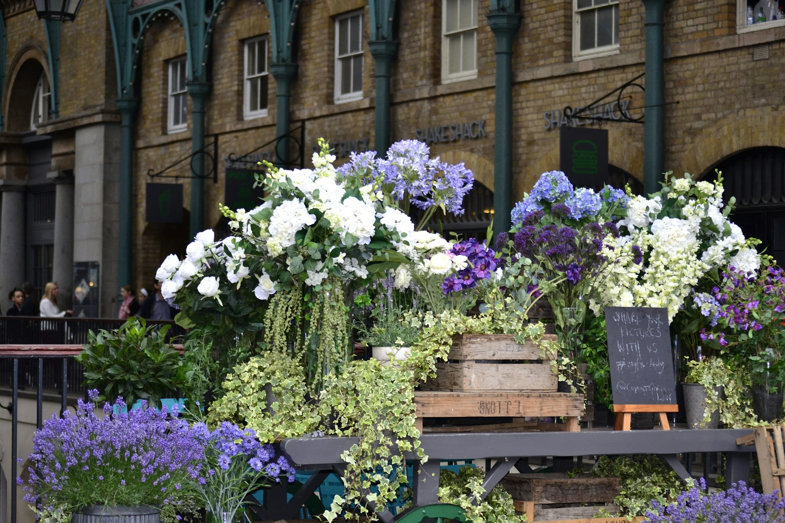 The story of a first time exhibitor at Chelsea