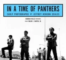 In a Time of Panthers.jpg