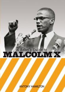 A Rebel's Guide to Malcolm X.jpg