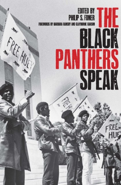 The Black Panthers Speak
