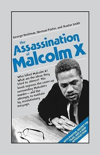 assassination of malcolm X61TS47Q-lOL._SY522_.jpg