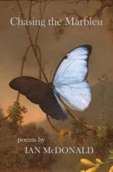 Chasing the Marbleu.jpg