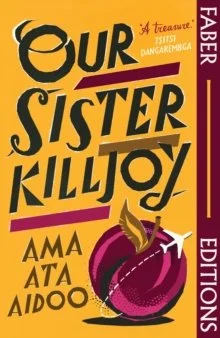 Our Sister Killjoy (Faber Editions)