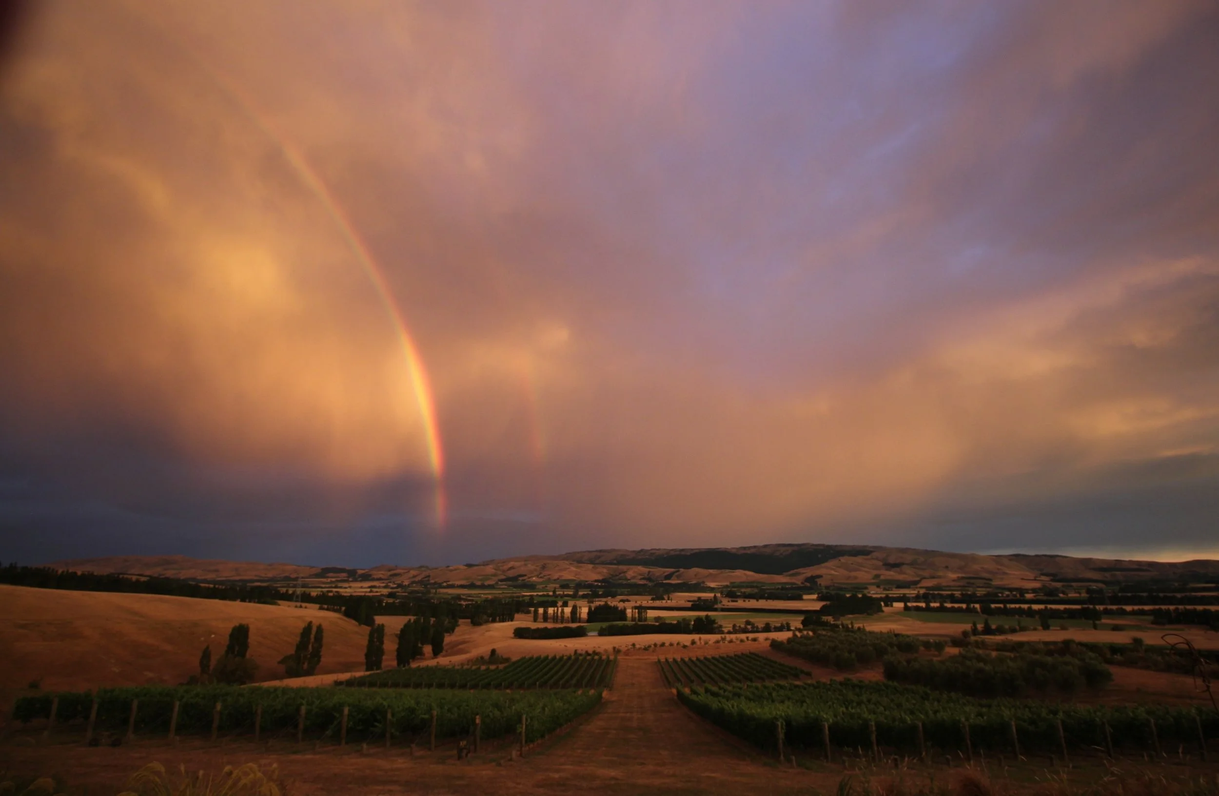 julian ball - IMG_1582.JPG