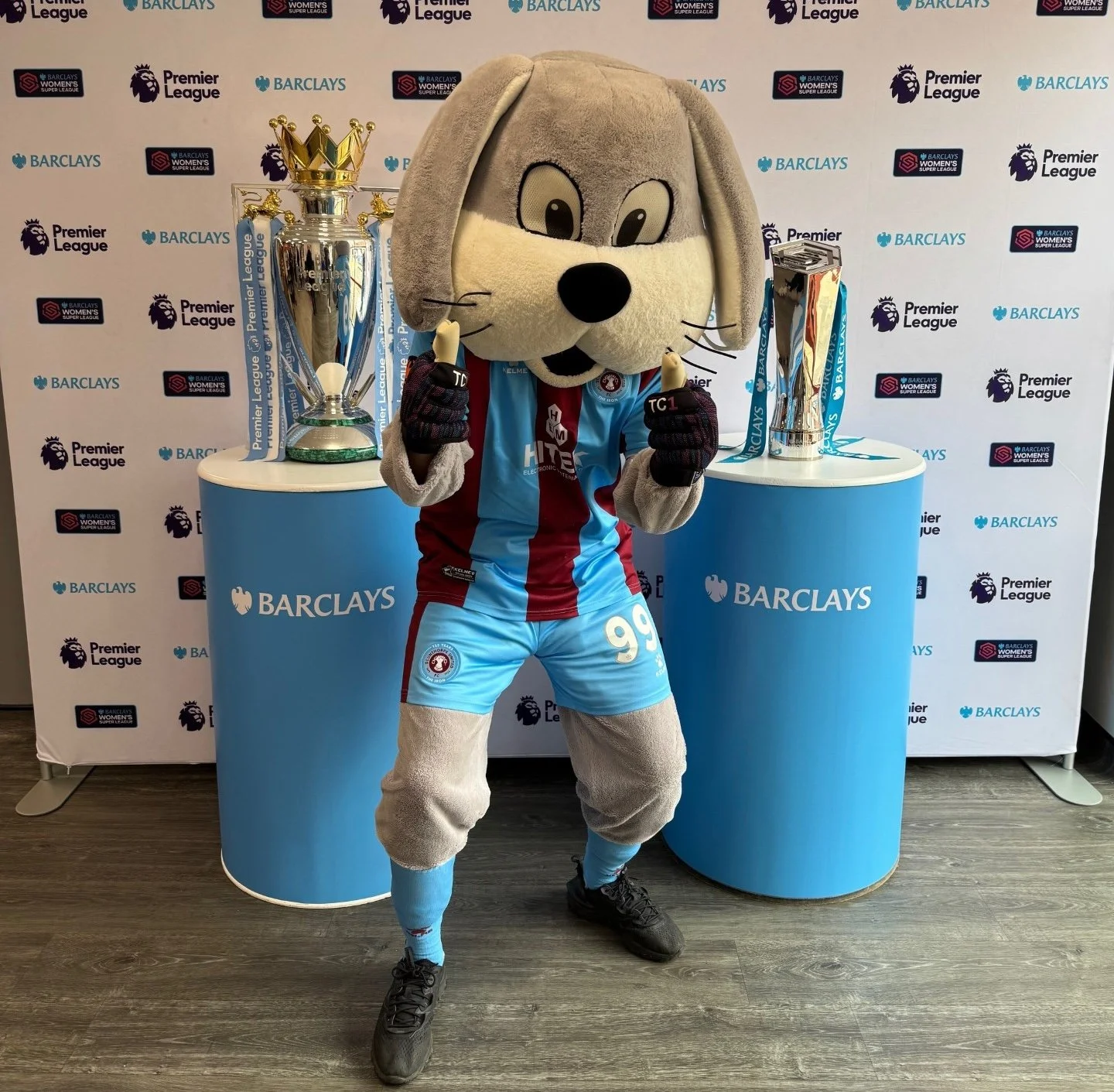 2025-02-21 Trophies 11 .jpg