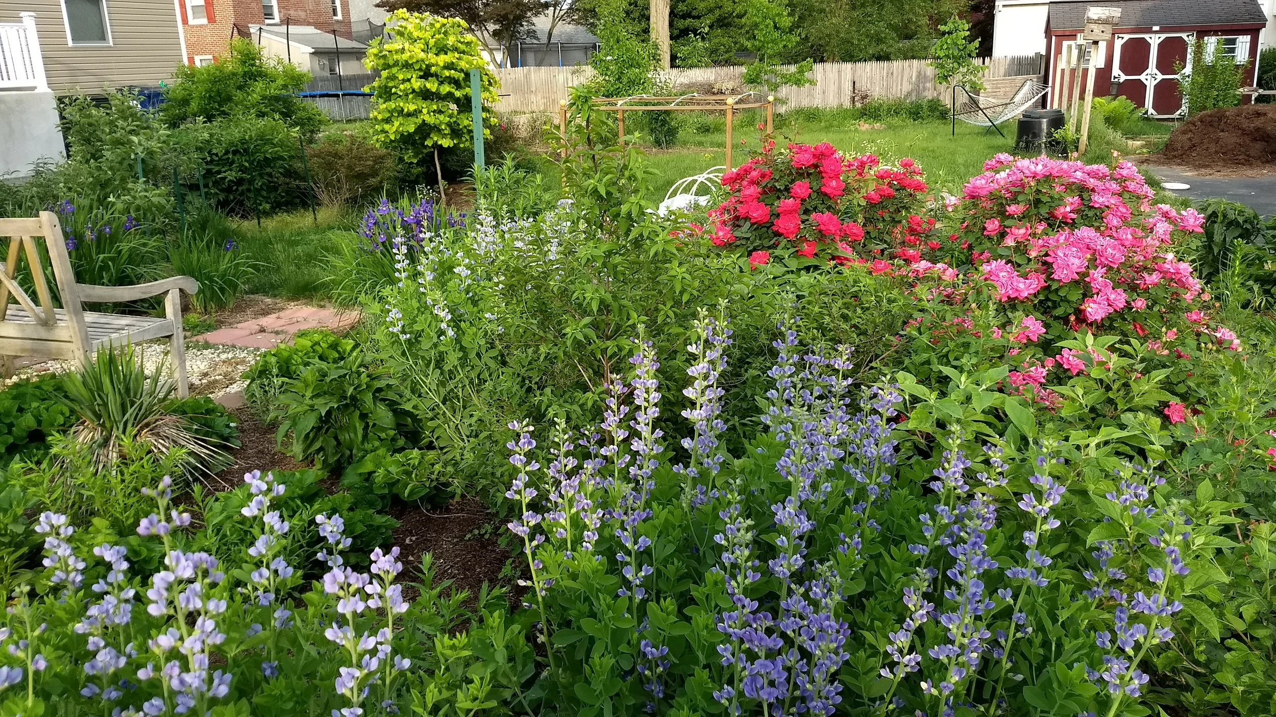 Ward 5 Meet &amp; Greet