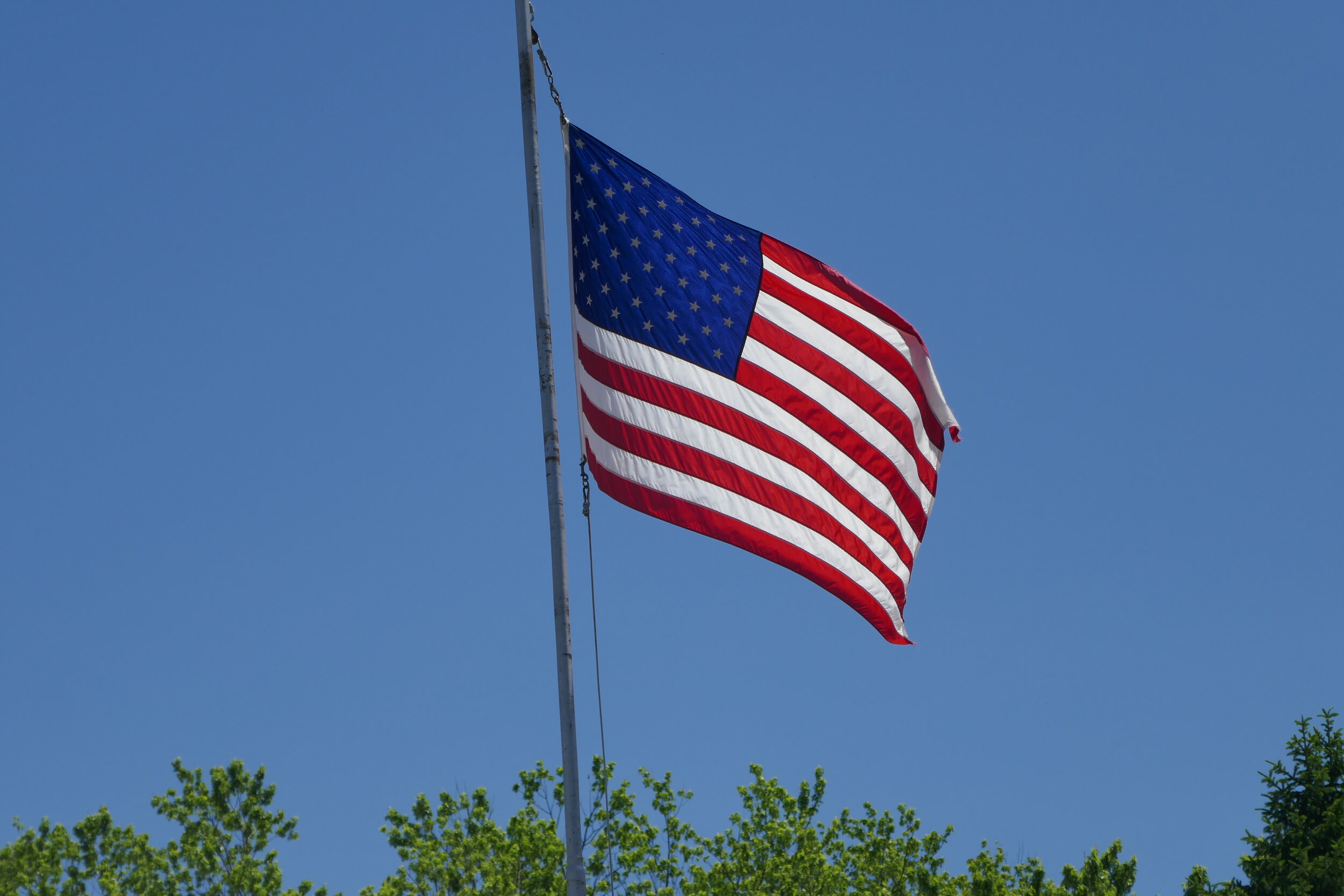 2020 Primary Election