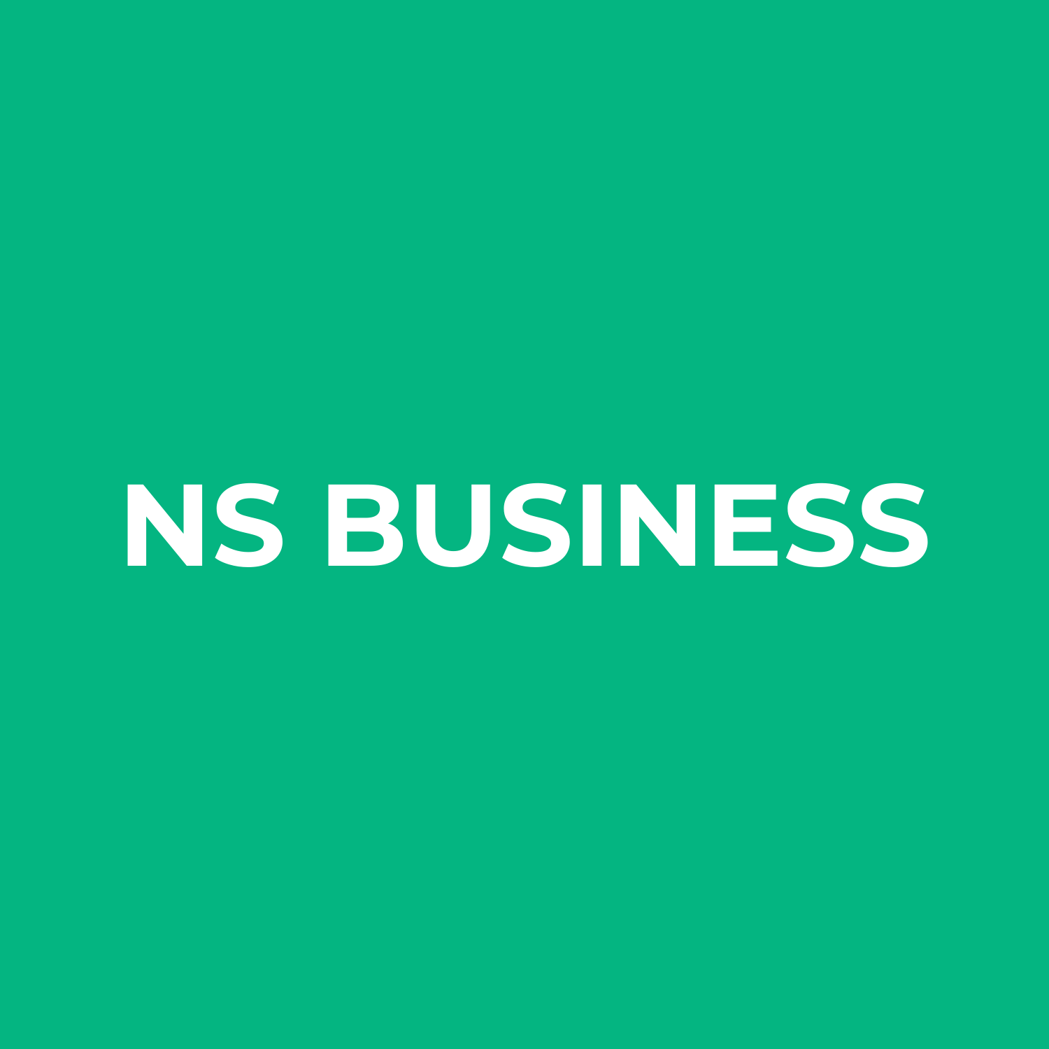 NS BUSINESS