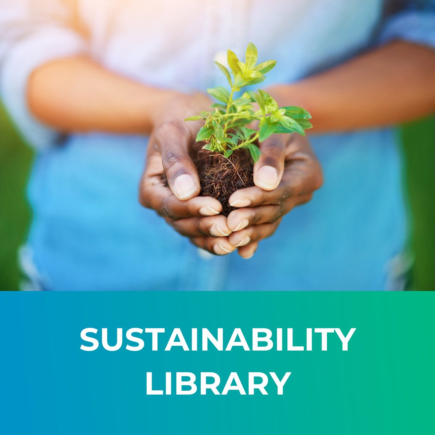  Learn more about climate solutions, sustainability strategies and business decarbonisation. eevie’s Sustainability Library is a perfect resource to educate yourself on important topics related to climate change and other aspects of environmental pro