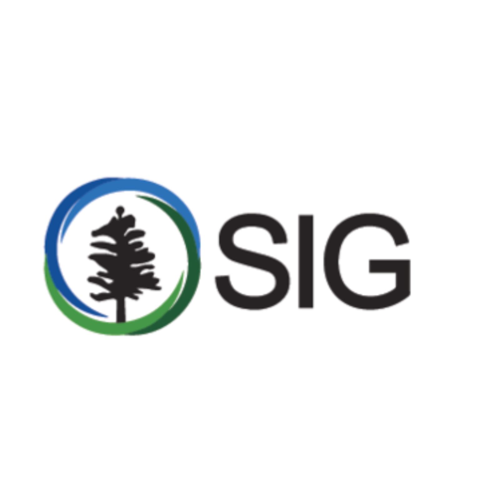SIG Sustainable Investment Group