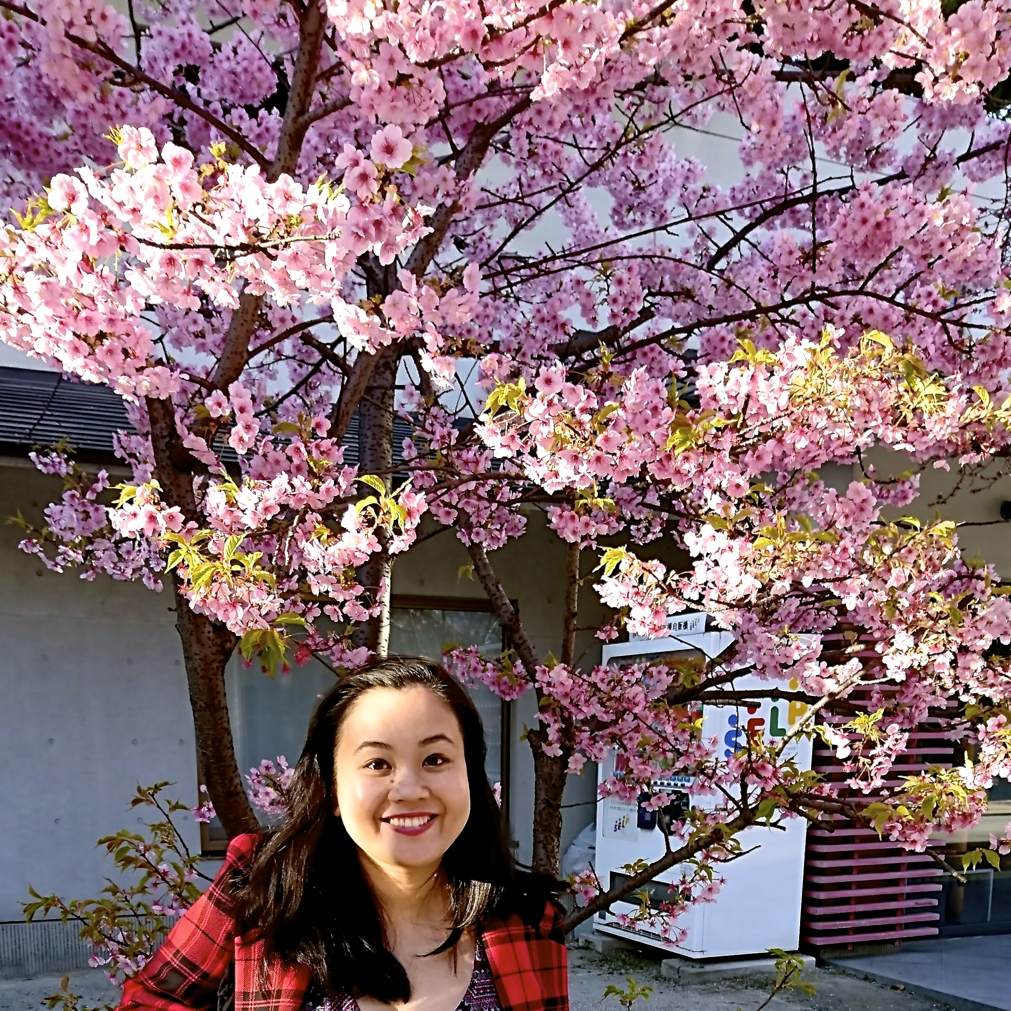 Photo taken in Fukuoka, Japan.