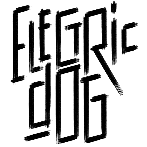 Electric Dog Photography