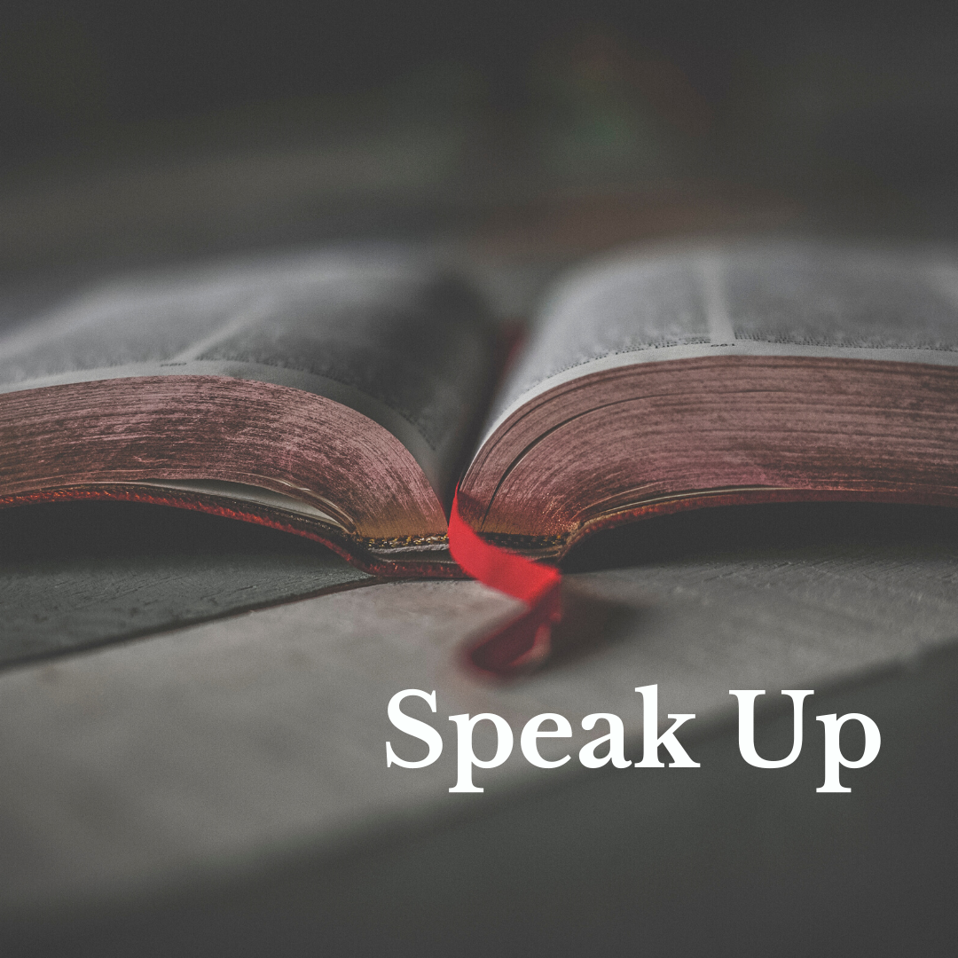 Bible Commentary – Help Wanted (Please Read On)