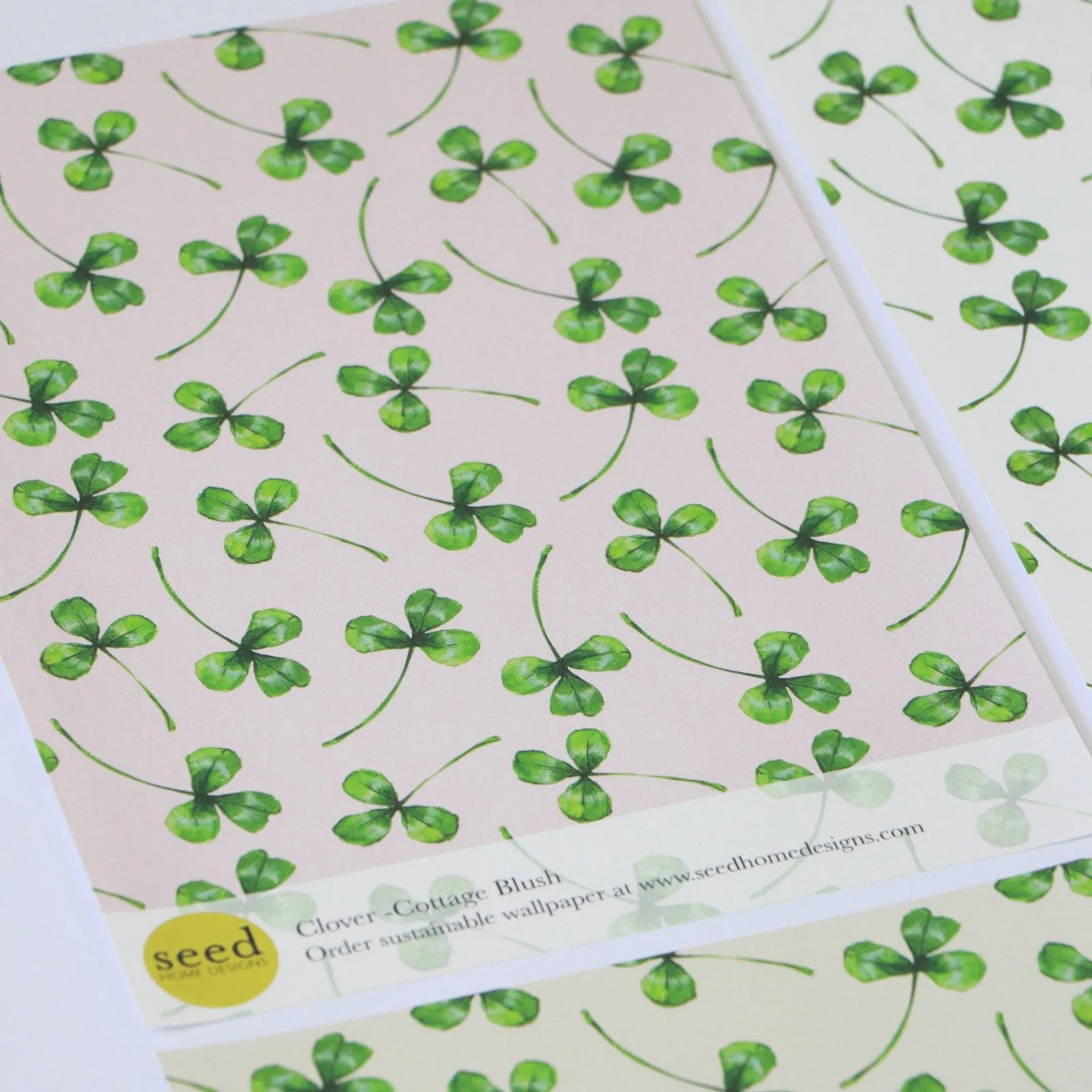 Clover-leaf-pink-wallpaper.png