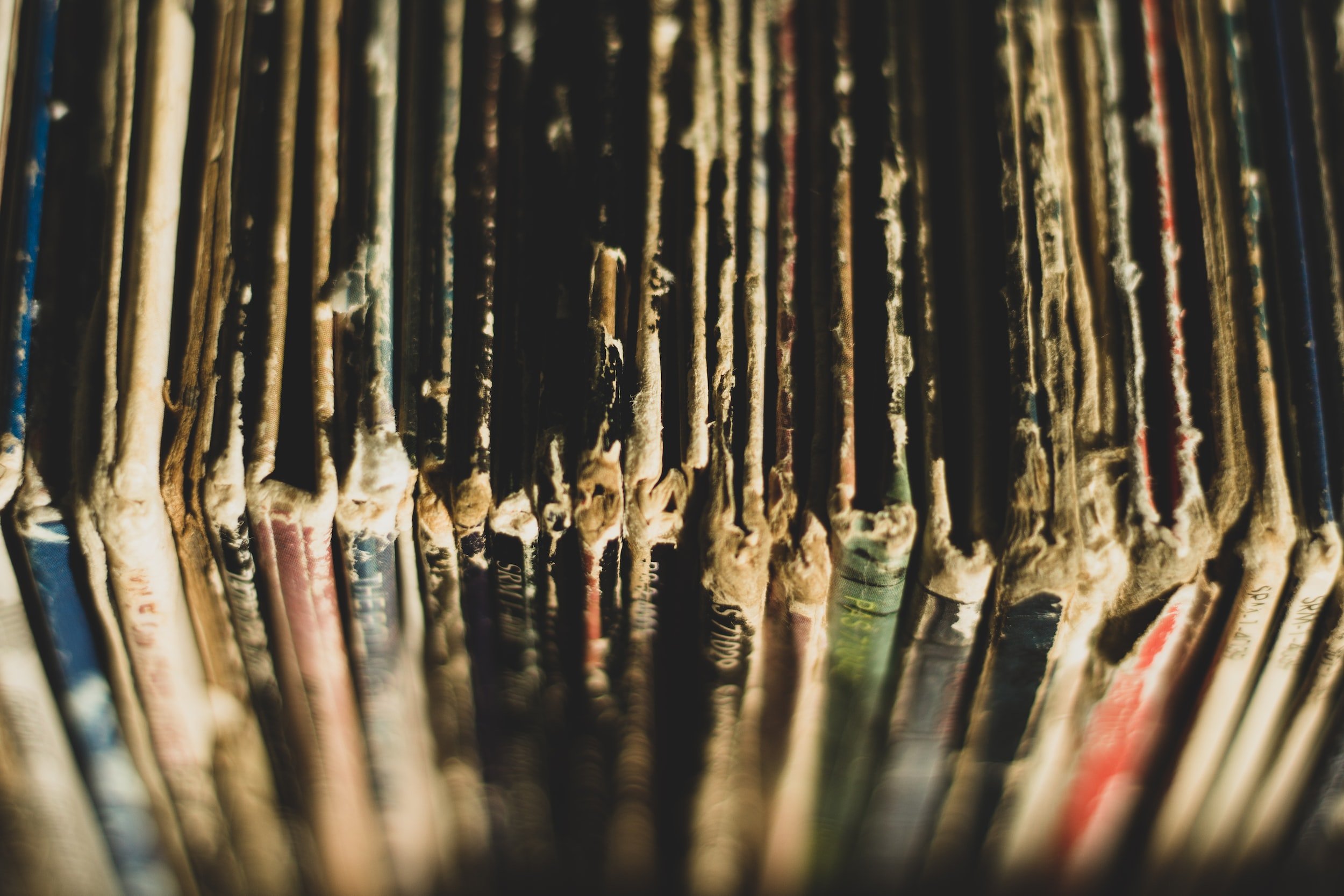 unsplash-image-tRpY19tQeVs.jpg