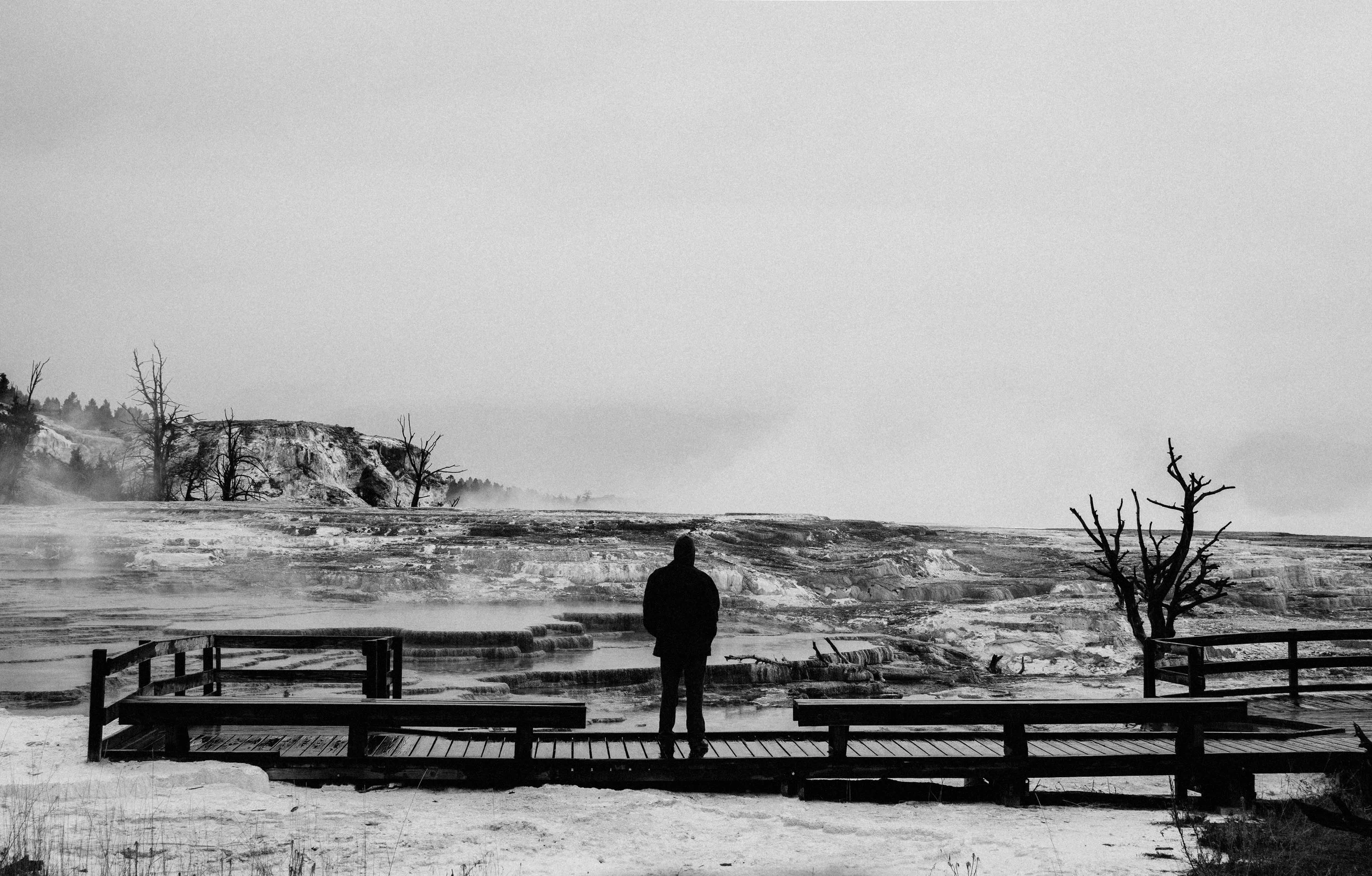 DSC_0200.jpg