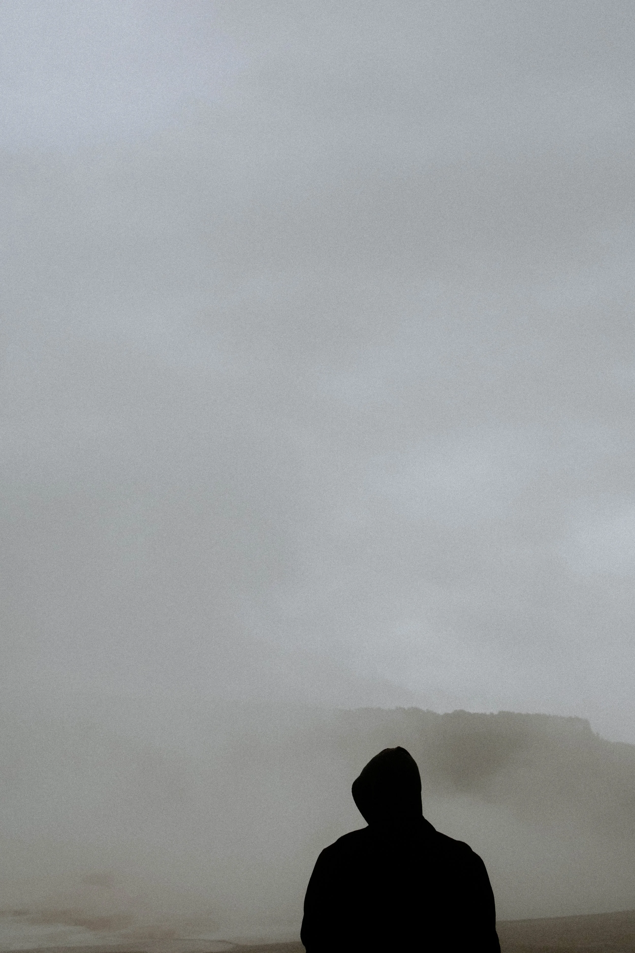 DSC_0206.jpg