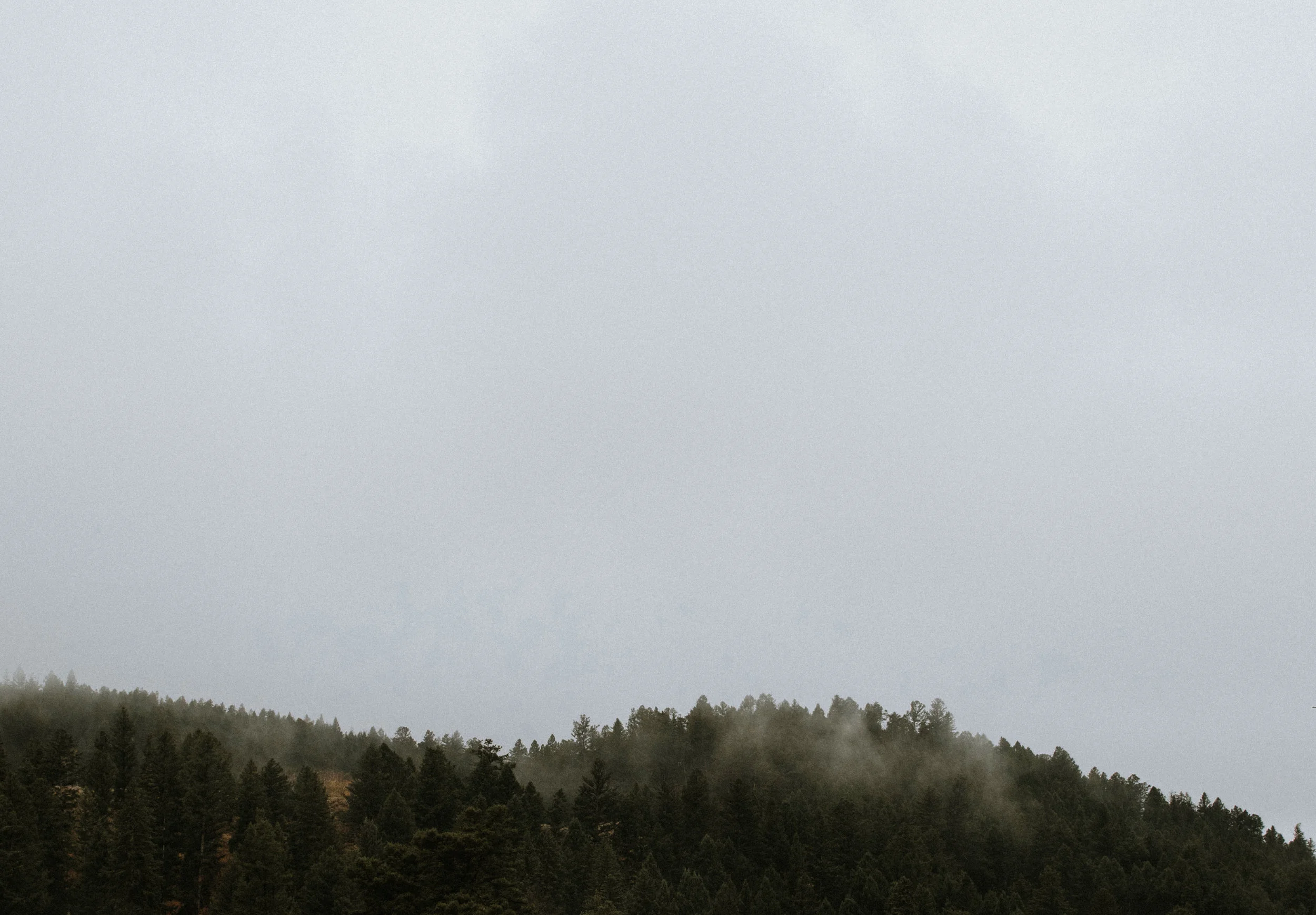DSC_0284.jpg